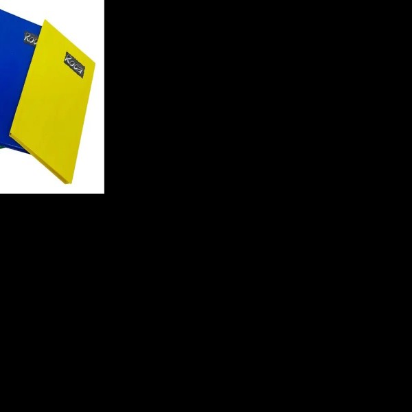 DIARIO FRANC. ROCA C.18ESTRELLA C.24 RAYA 288H